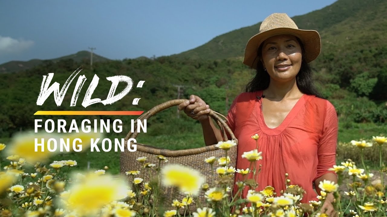 (Eng) Picking Wild Plants and Eating Them in Hong Kong's Country side