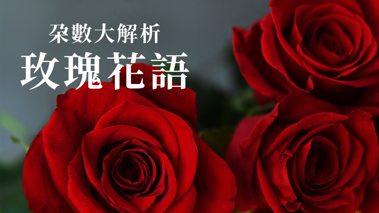 3朵玫瑰「表達我愛你」，那27朵呢 ?