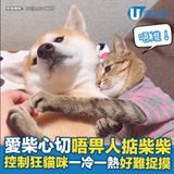 貓貓唔畀人掂柴柴